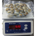 frozen shellfish wholesaler export all specifications clean cooked baby clam